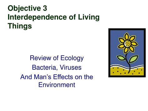 Ppt Objective 3 Interdependence Of Living Things Powerpoint