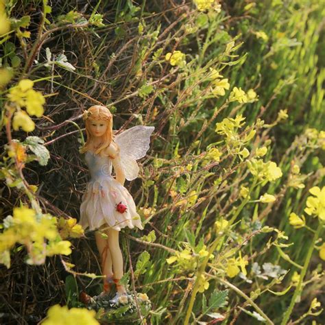 Image Of Magical Little Fairy In The Forest Stock Image Image Of
