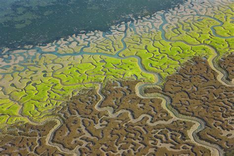 Aerial View Of River Beds And Saltmarsh Andalucia Spain Photograph By