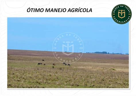 Fazenda Completa de 6050 hectares à venda Interior ALEGRETE