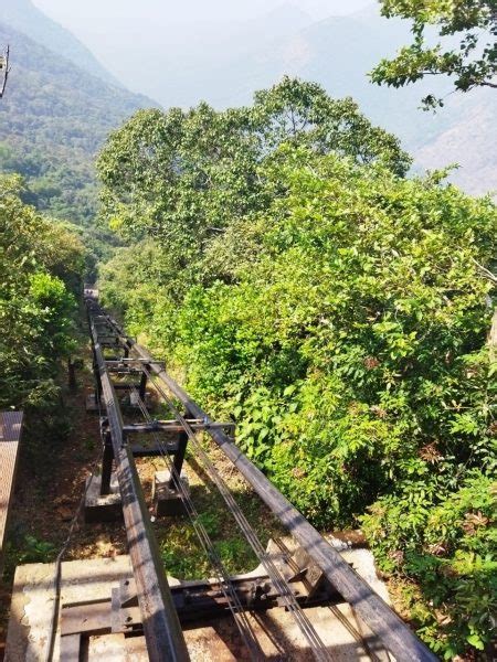 Indias First Forest Canopy Slope Train Inaugurated At Wildernest