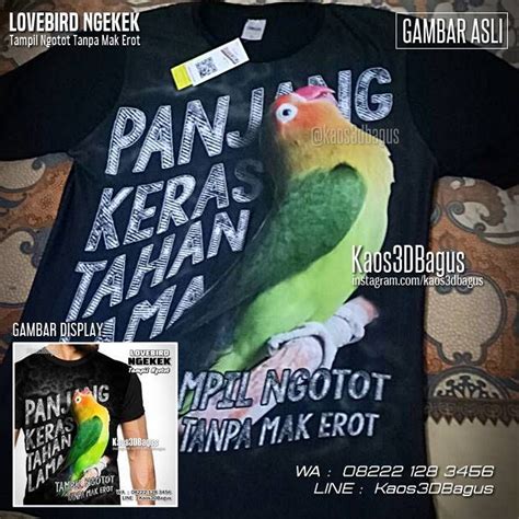 Tips mudah perawatan burung branjangan agar cepat gacor. Kaos LOVEBIRD | Gambar, Instagram, dan Asli