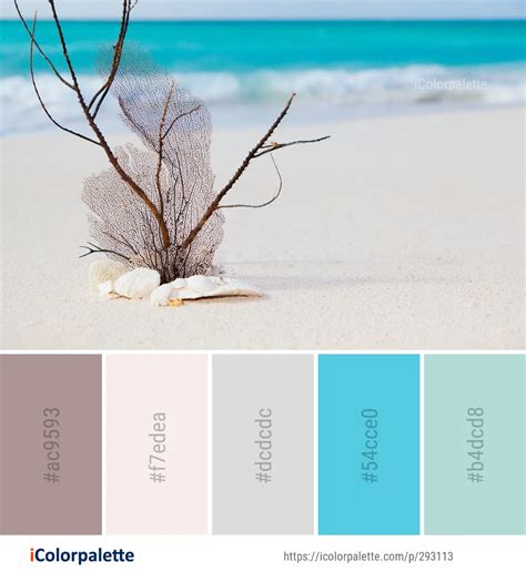 465 Beach Color Palette Ideas In 2021 Icolorpalette Beach Color
