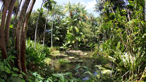 Singapore Botanic Garden Unescos Only Tropical Garden