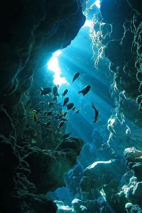 Under The Water Life Under The Sea Underwater Caves Underwater