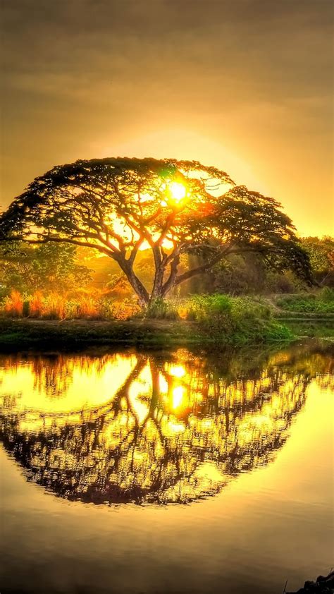 Sunset Pond With Tree Reflection Beautiful Sunset Beautiful World