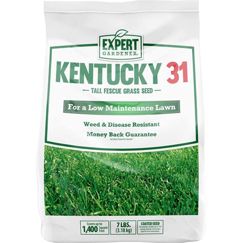 5 Lbs Kentucky 31 Tall Fescue Grass Seed Lawn Or Pasture Grass Drought