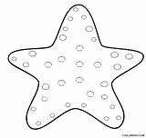 Starfish Coloring Preschool Printable Cool2bkids sketch template