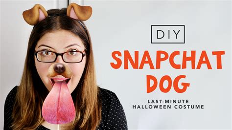 Diy Last Minute Snapchat Dog Costume Halloween 2016 Karen Kavett