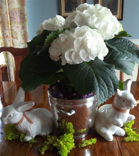 White Hydrangea And Two Little Bunnies White Hydrangea Hydrangea Plants