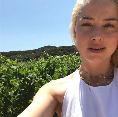 Photo Amber Heard Sur Instagram Le 25 Mai 2021 Purepeople