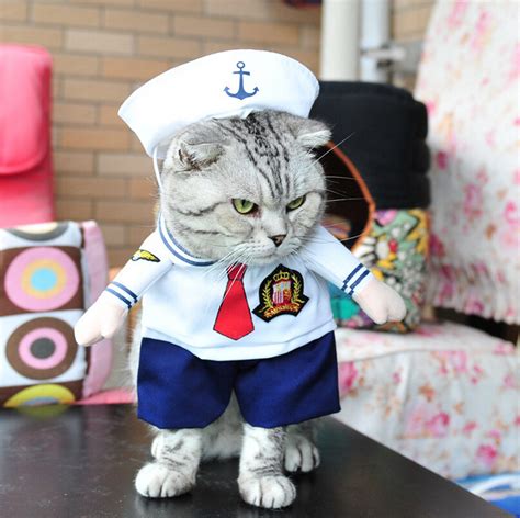 Buy Funny Costume For Small Cat Sailor Policeman