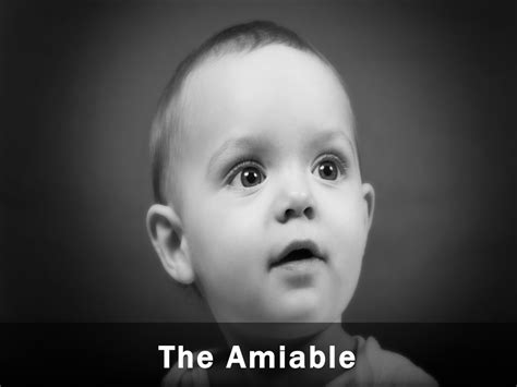 The Amiable