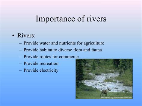 Ppt River Systems Powerpoint Presentation Free Download Id2748912