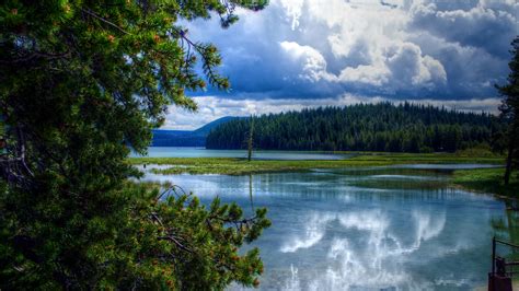 Download Wallpaper Forest Spruce Lake Usa Clouds Summer Oregon