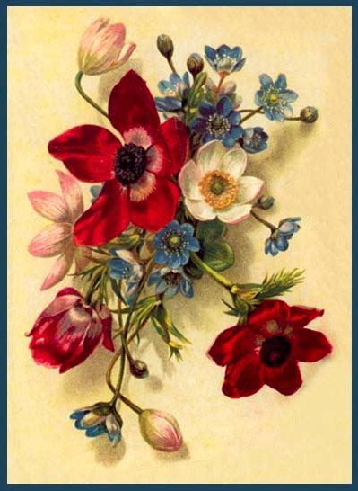 Artbyjean Vintage Clip Art Three Gorgeous Vintage Flower Prints