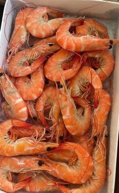 Frozen Cooked Vannamei Pdto Shrimp Hng Seafood