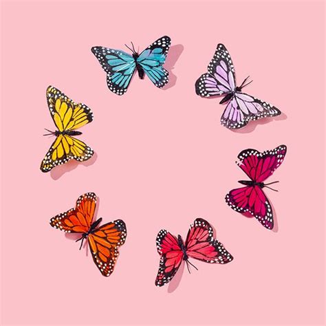 Over 40,000+ cool wallpapers to choose from. Butterfly Circle | Aesthetic iphone wallpaper, Cute ...