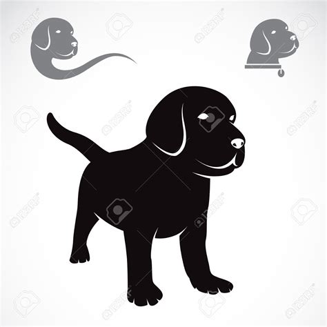 Black Lab Puppy Clipart 20 Free Cliparts Download Images On