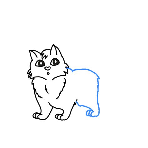 How To Draw A Ragdoll Cat Step By Step Easy Drawing Guides Drawing