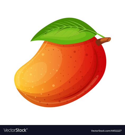 Mango Leaf Cartoon Royalty Free Vector Image VectorStock