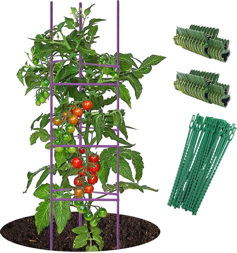 Plant Cages And Supports Plant Support Structures Patio Lawn And Garden