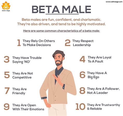 Do You Have A Beta Male Personality Lets Take A Look At Beta Male Traits