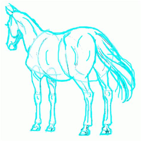 Exam Guide Online How To Draw An Easy Tempered Horse Rear View