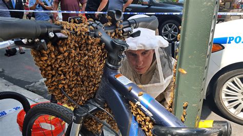 Nypd’s Bee Unit Readies For Coming ‘murder Hornet’ Invasion Of East Coast The Sun Hot