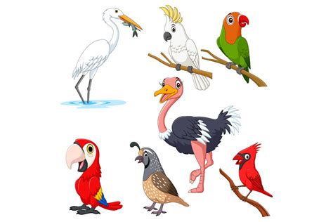 Set Of Seven Cartoon Birds Character By Tigatelu Thehungryjpeg