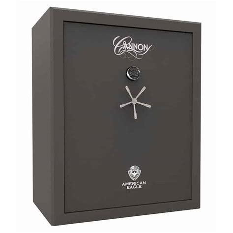 Buy Cannon Ae594024 60 H1fec 17 Fire Rated 48 Gun Safe City Safe And Vault