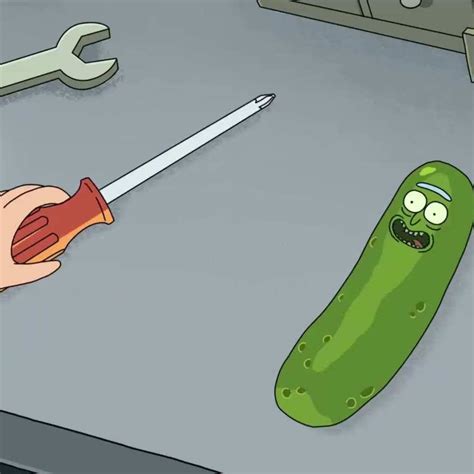 Its Pickle Rick