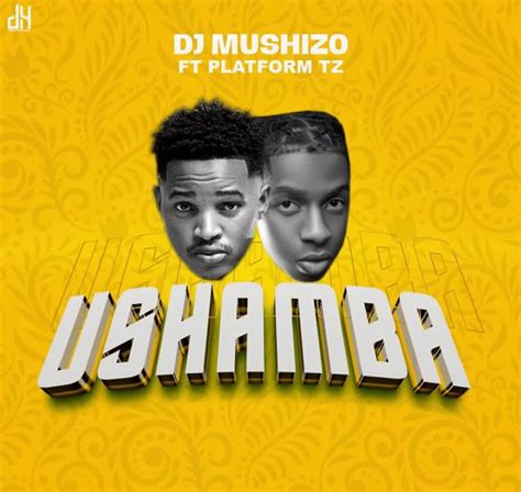 Download Audio Mp3 Dj Mushizo Ft Platform Ushamba