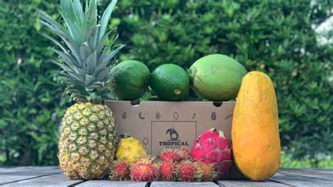 Tropical Fruit Box Review Exotic Fruit Delivered Direct Reviewed