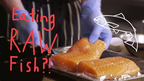 Why You Can Eat Raw Salmon Y A How To Series Youtube