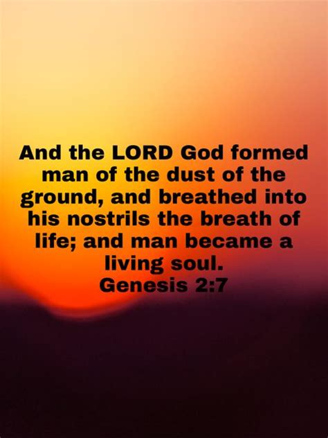 Genesis 27 And The Lord God Formed Man Of The Dust Of The Ground And
