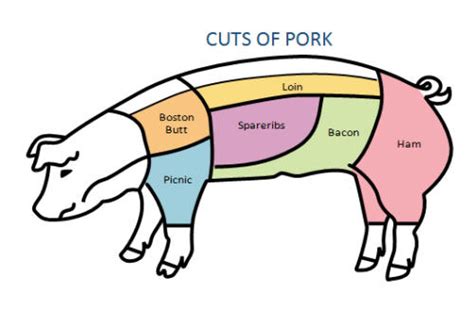 No one is suggesting you eat a pound. Can Christians eat Pork/Pig? - Pets & Animals Forum ...