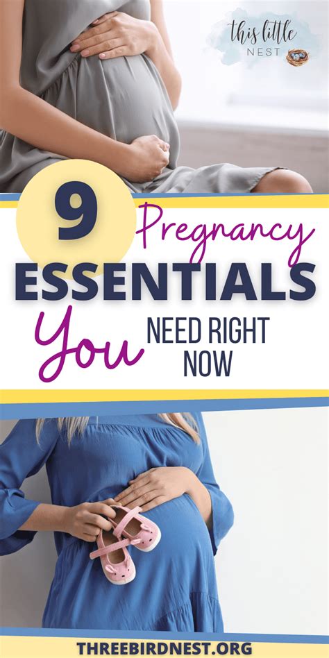 Pregnancy Essentials Things You Need During The Journey This Little Nest