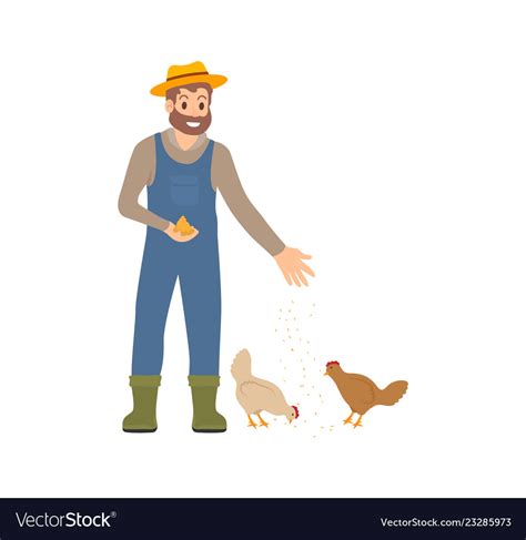 Farmer Feeding Chickens Hens Royalty Free Vector Image