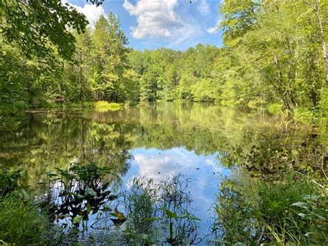 90 Acres With Streams And Pond Land For Sale In Enoree Spartanburg