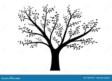 Realistic Vector Illustration Of Tree With Branches And Leaves