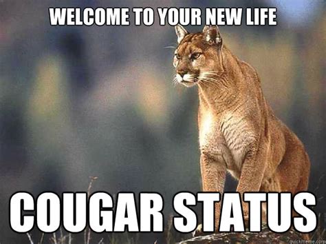 Cougar Meme 🔥cougar Alert Meme Captions More