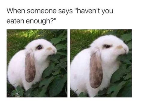 Happy easter meme 2019 : 7 FUNNY Easter Memes For Students Looking To Get Their ...