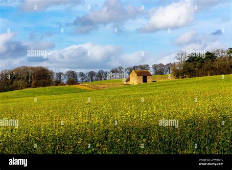 Field Barn In Typical Cotswolds Landscape At Bredon Hill Near