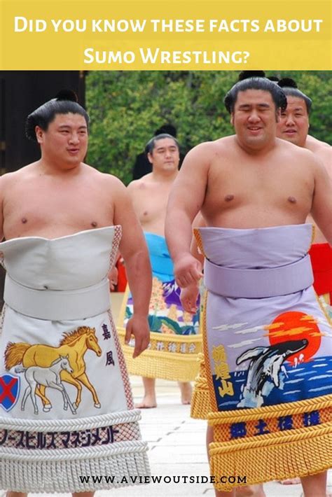 How To Watch Sumo Wrestling In Japan In 2022