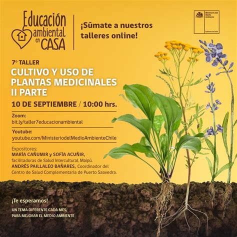 Cultivo y uso de plantas medicinales II parte Educación Ambiental y