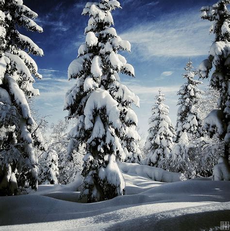 Amazing Winter Landscape Photography Angelic Hugs