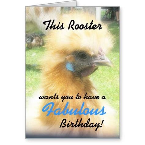 Funny Fabulous Rooster Birthday Card Birthday Cards