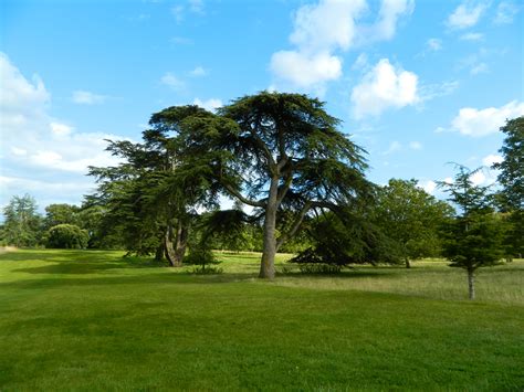 Free Images Landscape Tree Nature Grass Structure Field Lawn