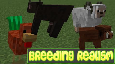 Minecraft Mod Breeding Realism Youtube